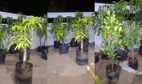 tabulampotbrebes's Live Session — Oct 20, 2026, 1:12 PM