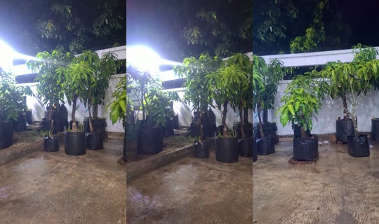 tabulampotbrebes's Live Session — Oct 21, 2026, 11:14 AM