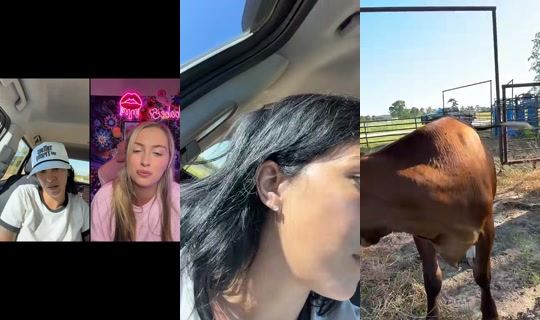 tattedddbaddie's Live Session — Jul 26, 2026, 11:04 PM