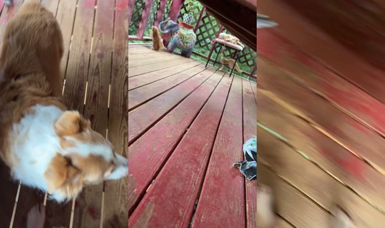 that_goofy..aussie_rocky's Live Session — Jul 18, 2026, 10:39 PM