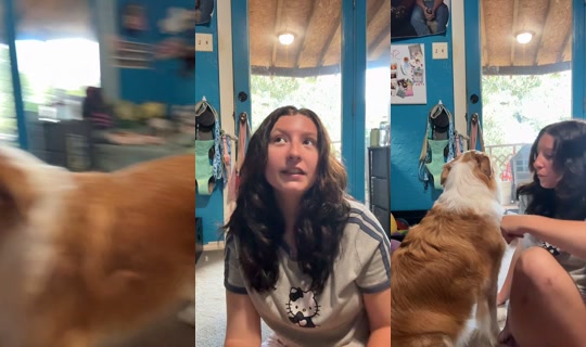 that_goofy..aussie_rocky's Live Session — Sep 5, 2026, 7:53 PM
