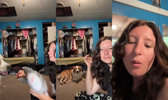 that_goofy..aussie_rocky's Live Session — Sep 19, 2026, 9:11 PM