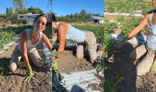thatfarmgirllaura's Live Session — Jul 15, 2026, 3:48 PM