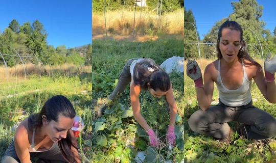thatfarmgirllaura's Live Session — Jul 27, 2026, 3:47 PM