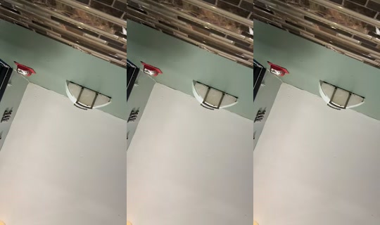thiccgirlbri's Live Session — Jul 21, 2026, 11:04 PM