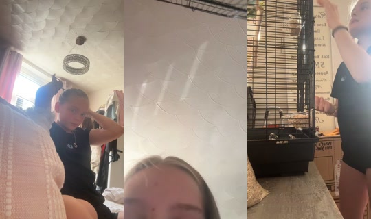 tintintoca's Live Session — Jul 8, 2026, 5:53 PM