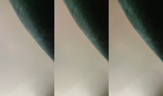 titi78348's Live Session — Sep 25, 2026, 2:30 AM