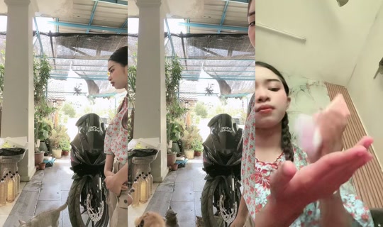 tri0kk's Live Session — Sep 29, 2026, 4:58 AM