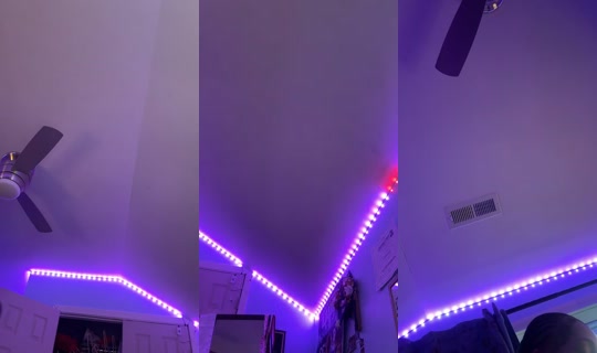 trinnanator's Live Session — Aug 2, 2026, 9:56 PM
