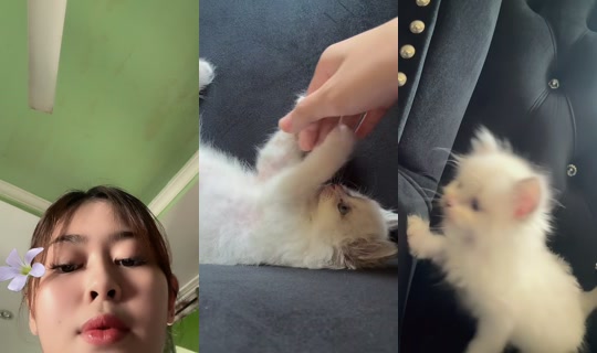 trisyiaashzm's Live Session — Jul 29, 2026, 8:16 AM