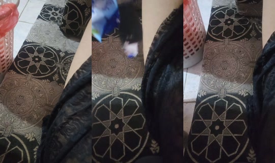 user1145301633128's Live Session — Oct 18, 2026, 12:31 AM