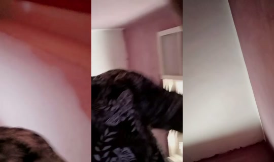 user407503497432's Live Session — Oct 3, 2026, 9:04 AM