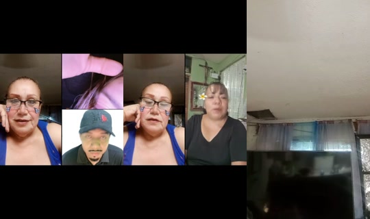 user54376615105520's Live Session — Sep 2, 2026, 5:24 AM