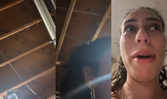 user96548634's Live Session — Jul 25, 2026, 4:26 AM