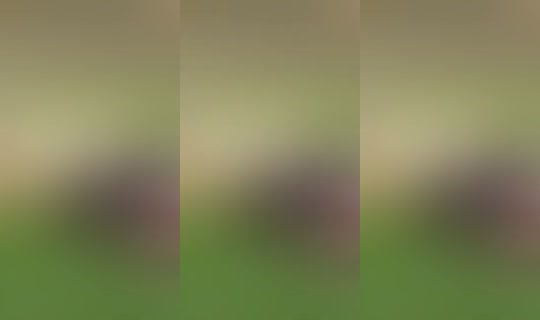 usern8sndrlylm's Live Session — Jul 30, 2026, 9:29 PM