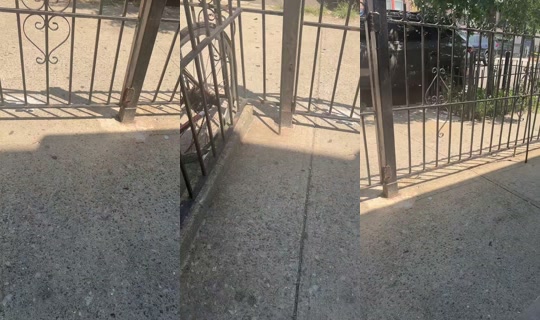 venpapi4's Live Session — Jul 26, 2026, 5:56 PM