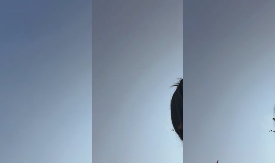venpapi4's Live Session — Jul 27, 2026, 8:37 PM