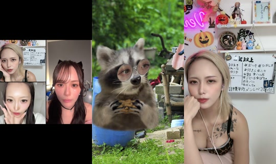 vera40647's Live Session — Oct 10, 2026, 1:44 PM