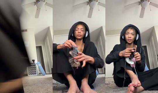 vintdoesntcarefr's Live Session — Oct 19, 2026, 9:29 PM