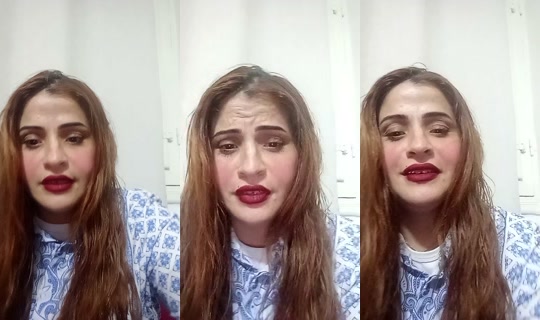 walaa13874's Live Session — Oct 13, 2026, 12:14 PM