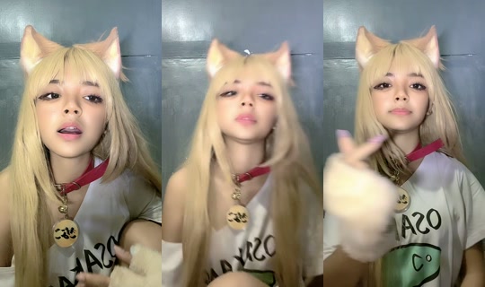 wawaaa14074's Live Session — Oct 11, 2026, 9:51 PM