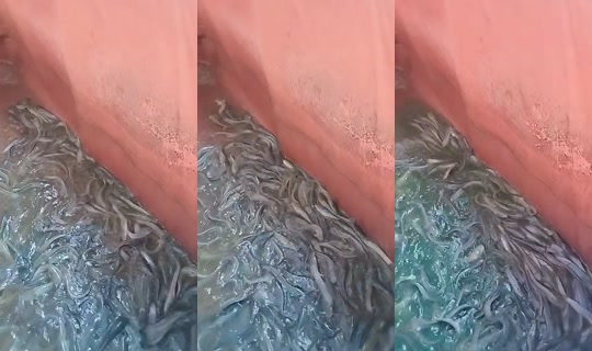 widariumi35's Live Session — Sep 23, 2026, 10:28 AM