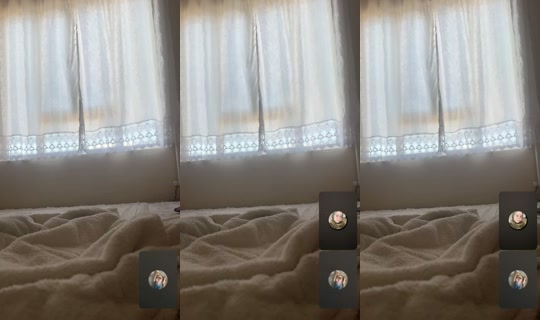 wpnejla8's Live Session — Jul 17, 2026, 12:42 PM