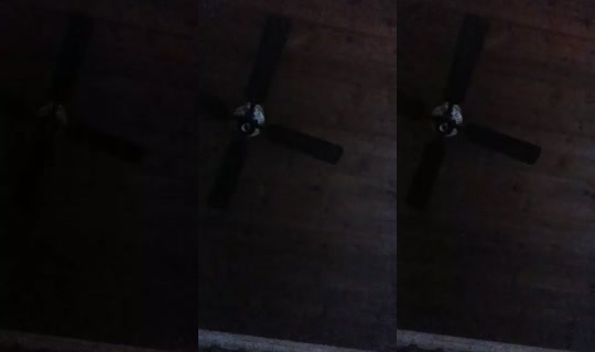 www.larvik.torstrand's Live Session — Aug 20, 2026, 8:34 PM