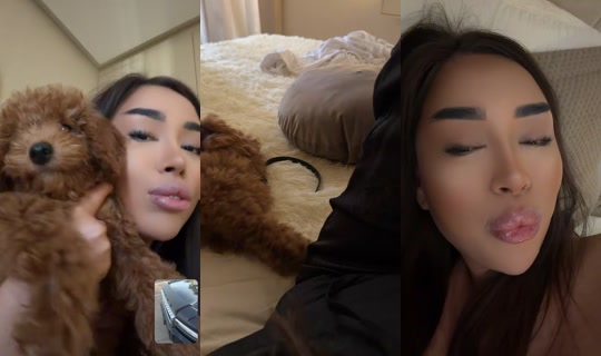 wwwwweeeerrrr11's Live Session — Sep 6, 2026, 11:13 AM
