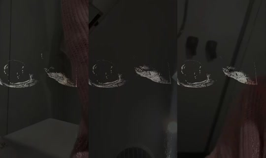xbhroqzead's Live Session — Jul 19, 2026, 7:09 PM