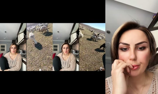 yaz.livee's Live Session — Oct 20, 2026, 11:15 AM