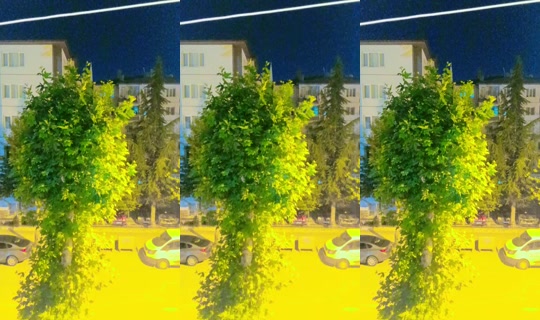 yazgul4101's Live Session — Jul 13, 2026, 9:29 PM