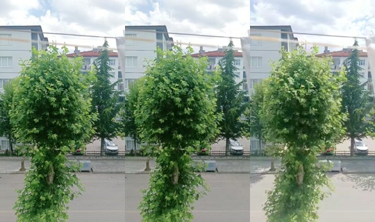 yazgul4101's Live Session — Jul 14, 2026, 11:31 AM