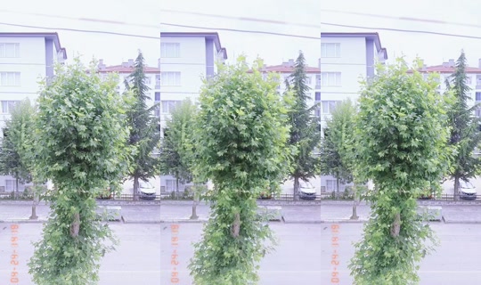 yazgul4101's Live Session — Jul 14, 2026, 11:47 AM