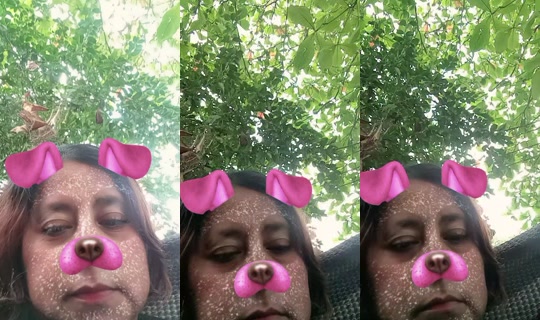 yesseniahernandez429's Live Session — Jul 8, 2026, 10:21 PM