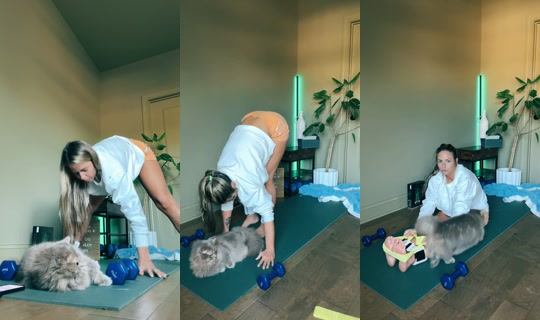 yogaletemg's Live Session — Oct 27, 2026, 12:42 PM