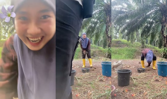 yunbondeng's Live Session — Jul 26, 2026, 11:22 PM