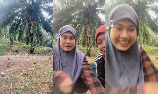 yunbondeng's Live Session — Jul 26, 2026, 11:36 PM