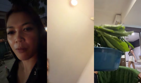 yymicel's Live Session — Sep 24, 2026, 10:56 AM