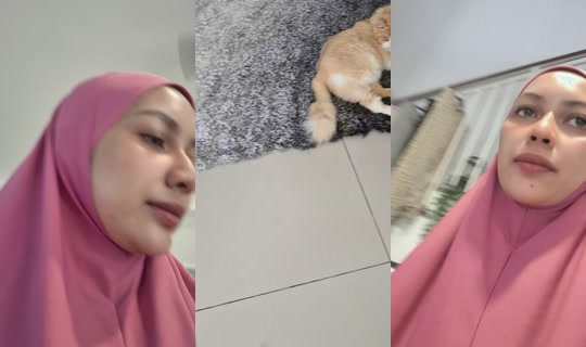 zarazyaofficial's Live Session — Oct 27, 2026, 4:12 AM