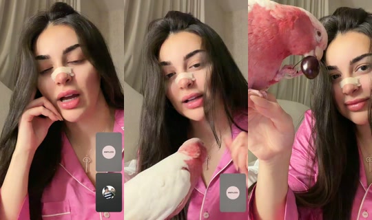 zeze.maarouf's Live Session — Jul 31, 2026, 10:19 PM