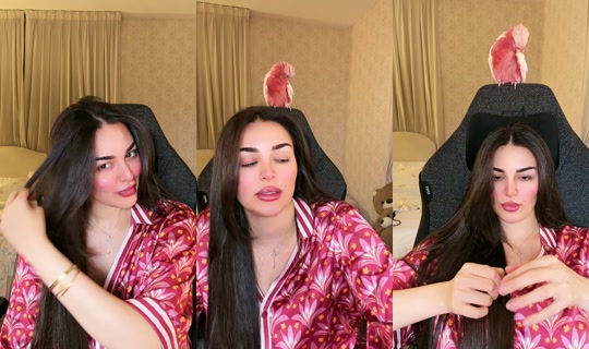 zeze.maarouf's Live Session — Sep 6, 2026, 8:32 PM