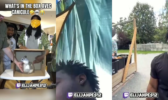 elijahdes12's Live Session — Sep 7, 2026, 5:13 PM