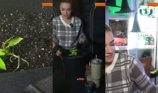 koalapuffslive's Live Session — Oct 25, 2026, 5:55 PM