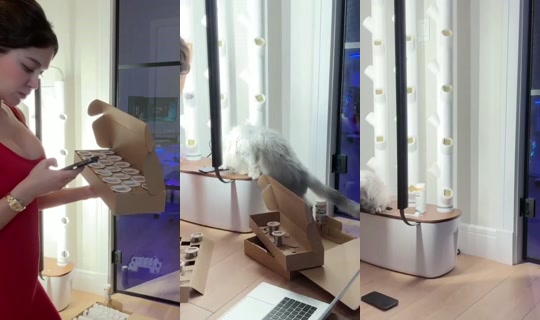 mira_irl's Live Session — Oct 29, 2026, 3:07 PM