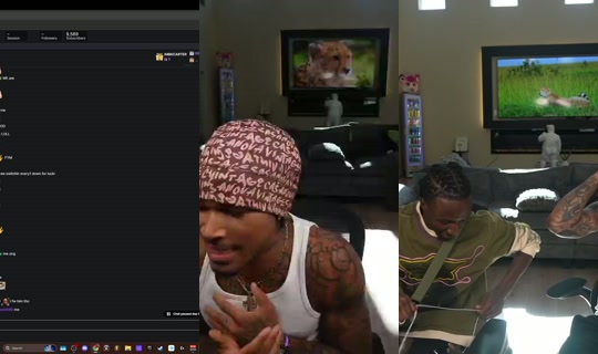 plaqueboymax's Live Session — Oct 4, 2026, 10:10 PM
