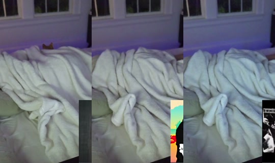 seigyokugirl's Live Session — Jul 9, 2026, 6:49 AM