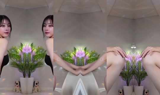 seoi1016's Live Session — Jul 28, 2026, 11:27 AM