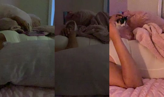 therealamazingcarol's Live Session — Aug 14, 2026, 11:57 PM