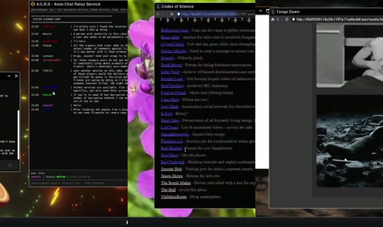 xqc's Live Session — Jul 26, 2026, 5:17 AM
